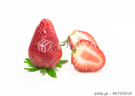 イチゴ いちご 苺 90703019