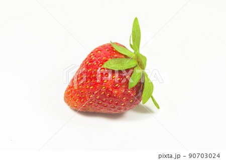 イチゴ いちご 苺 90703024