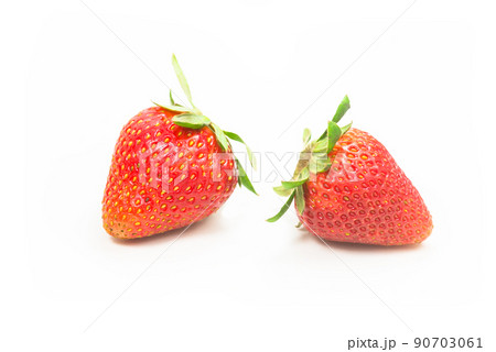 イチゴ いちご 苺 90703061