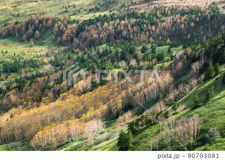 秋の渋峠の紅葉 90703081