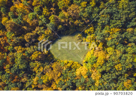 Top view of a forest clearing from a drone Top view of a forest clearing from a drone 90703820