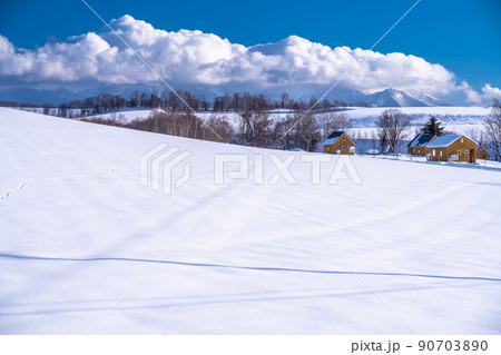 《北海道》美瑛の丘・大雪原 《北海道》美瑛の丘・大雪原 90703890