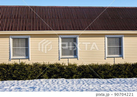 Hedge of fir trees grows near house in village during winter. 90704221