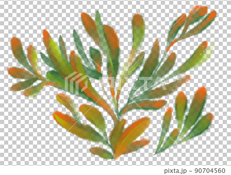 Tropical red green plant elements autumn watercolor hand painting illustration 90704560