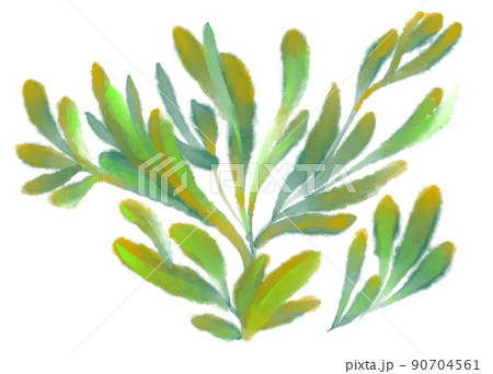 Tropical red green plant elements autumn watercolor hand painting illustration 90704561