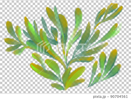 Tropical red green plant elements autumn watercolor hand painting illustration 90704561
