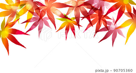 紅葉　もみじ　秋　背景 90705360