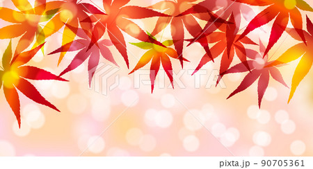 紅葉　もみじ　秋　背景 90705361