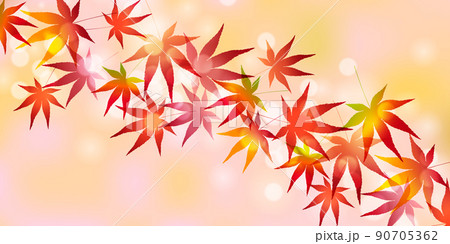 紅葉　もみじ　秋　背景 90705362