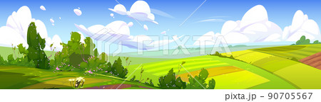 Rural landscape with green agriculture fields 90705567