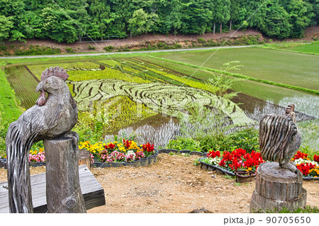 田んぼアート 90705650