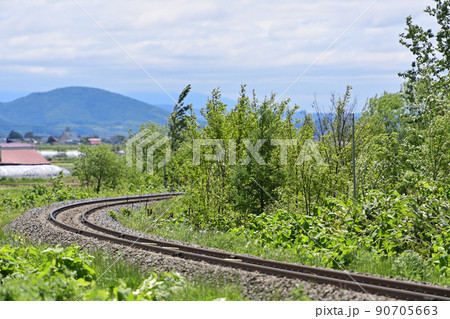 宗谷本線 比布ー蘭留 JR北海道 キハ261系0番台 SE-202編成(苗穂) そうや サロベツ 宗谷本線 比布ー蘭留 JR北海道 キハ261系0番台 SE-202編成(苗穂) そうや サロベツ 90705663