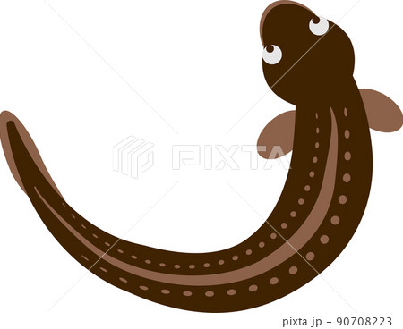穴子のイラストのイラスト素材