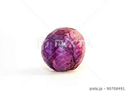 キャベツ 野菜 植物 90708491