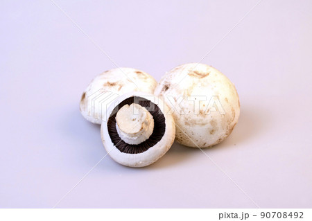 キノコ 松茸 野菜 90708492