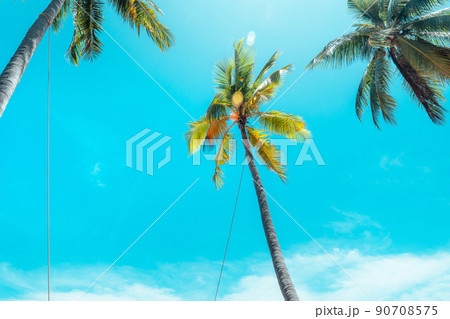 coconut trees and tropical sea beach in summer 90708575