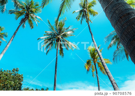 coconut trees and tropical sea beach in summer 90708576
