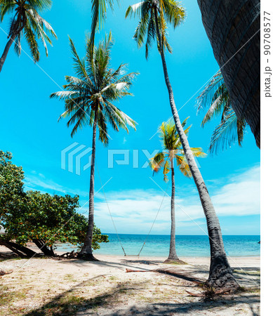 coconut trees and tropical sea beach in summer 90708577