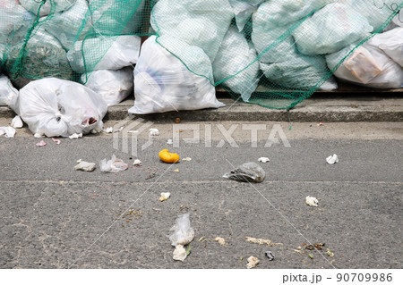 ゴミ捨て場 90709986