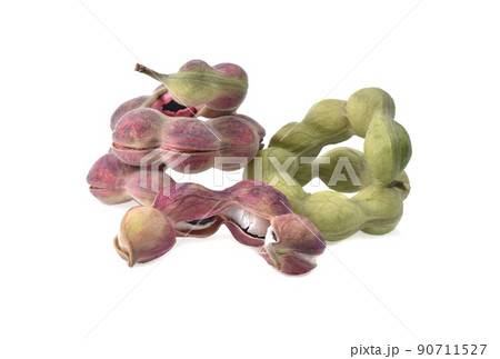 Manila tamarind fruit isolated on white background. 90711527