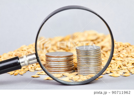 Stacks of coins on the background of barley grains through a magnifying glass 90711962