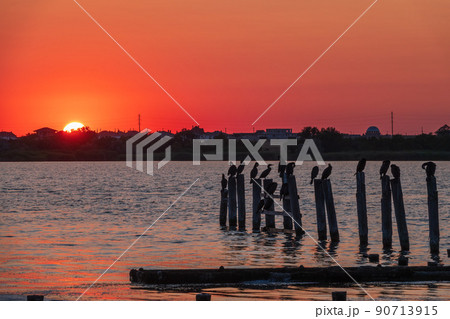 Beautiful red and orange sunset over the sea. The sun goes down over the sea. A flock of cormorants sits on a old sea pier in orange sunset light 90713915