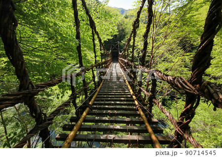 徳島県三好市　奥祖谷二重かずら橋の風景 90714545