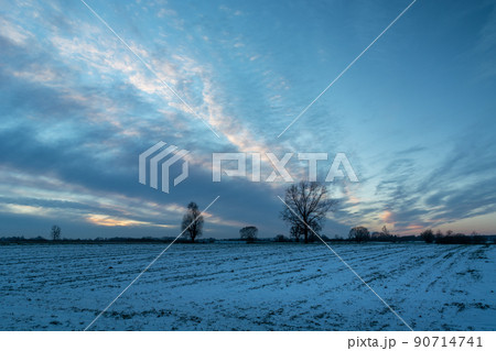 Snow-covered field and cool clouds in the evening 90714741