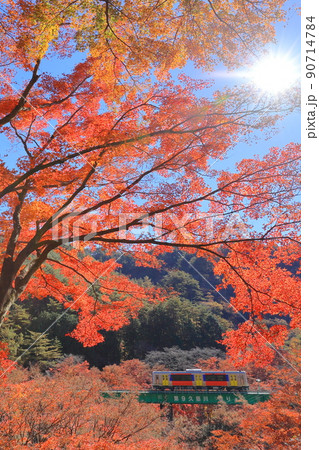 秋真っ盛り、太陽の光を通して真っ赤に輝くもみじと、鉄橋を渡るかわいいローカル線 矢祭山 秋真っ盛り、太陽の光を通して真っ赤に輝くもみじと、鉄橋を渡るかわいいローカル線 矢祭山 90714784