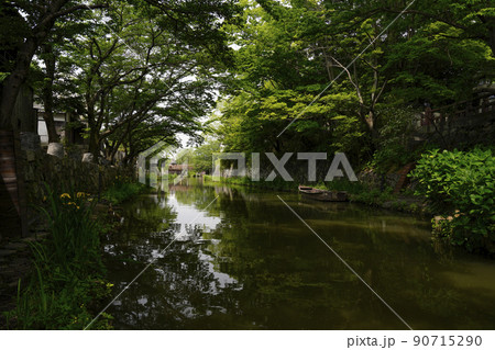 初夏の近江八幡市の八幡掘 90715290