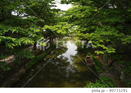 初夏の近江八幡市の八幡掘 初夏の近江八幡市の八幡掘 90715291