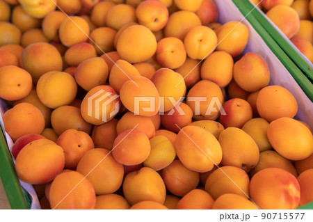 Lots of fresh apricots for sale in the market 90715577