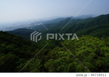 山 森 風景 90716011
