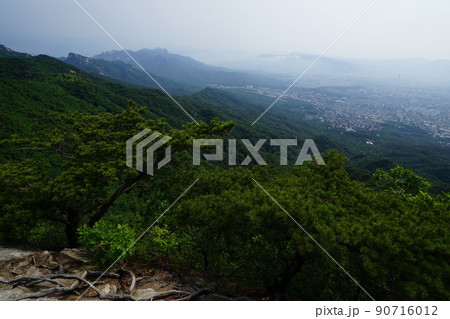 山 森 風景 90716012