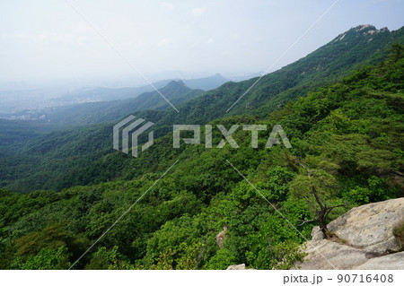 森林 山 風景 90716408