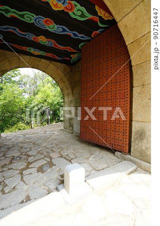 風景 木 空 90716447