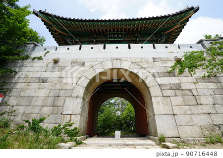 風景 木 空 90716448