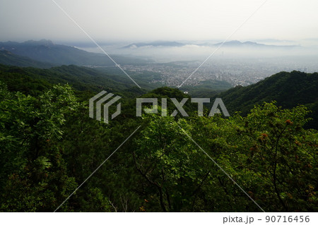 森林 山 風景 90716456