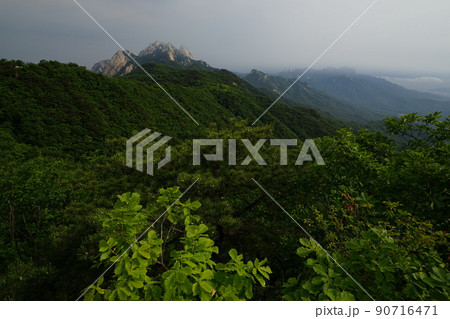森林 山 風景 90716471