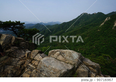 風景 山 森 90716967
