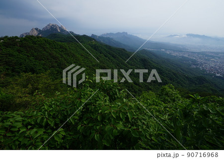 風景 山 森 90716968