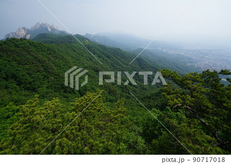 風景 山 森 90717018