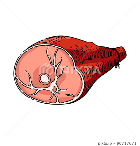 pork meat sketch hand drawn vector pork meat sketch hand drawn vector 90717671