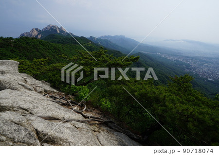 風景 森林 森 90718074