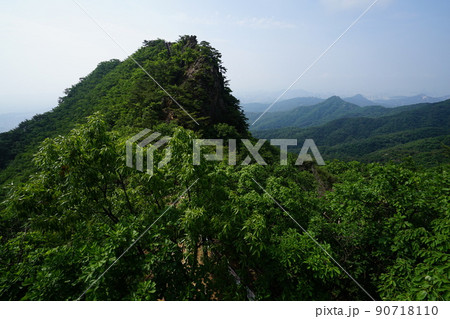 風景 森林 森 90718110