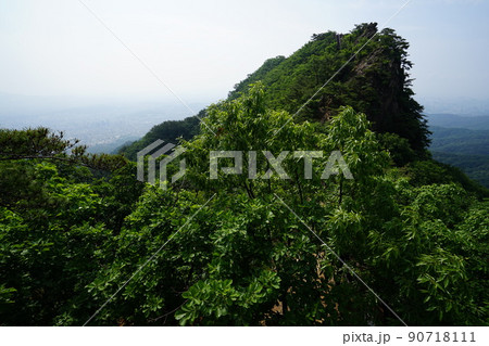 風景 森林 森 90718111