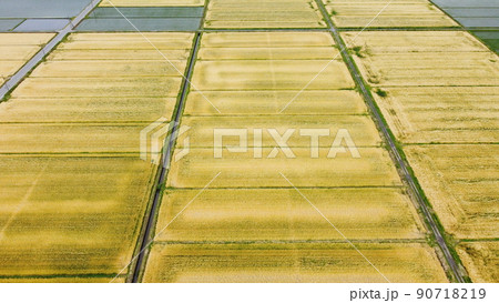 実りの麦畑 空撮 実りの麦畑 空撮 90718219