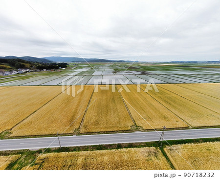 実りの麦畑 空撮 実りの麦畑 空撮 90718232