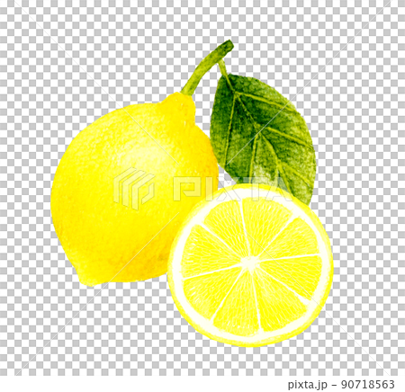 Illustration of lemon fruit cut in half Hand-painted watercolor illustration material of fruit 90718563
