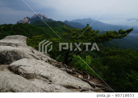 山 風景 森 90718655